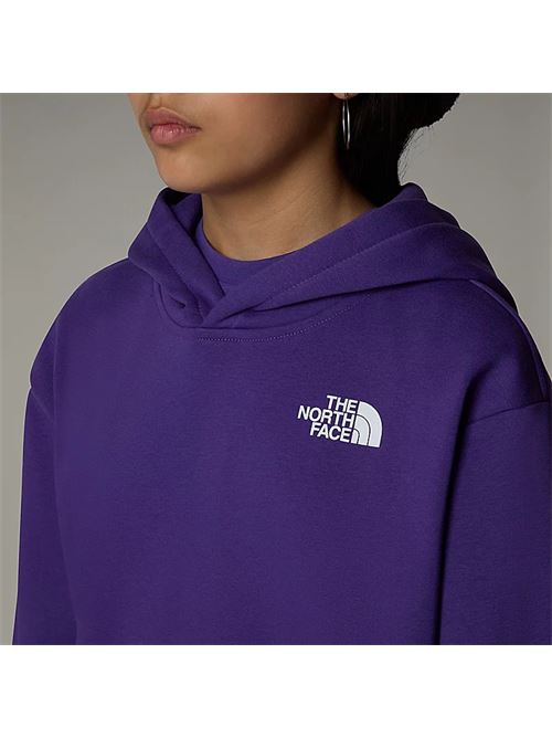 g vertical graphic oversized THE NORTH FACE | NF0A89HDNL41NL4